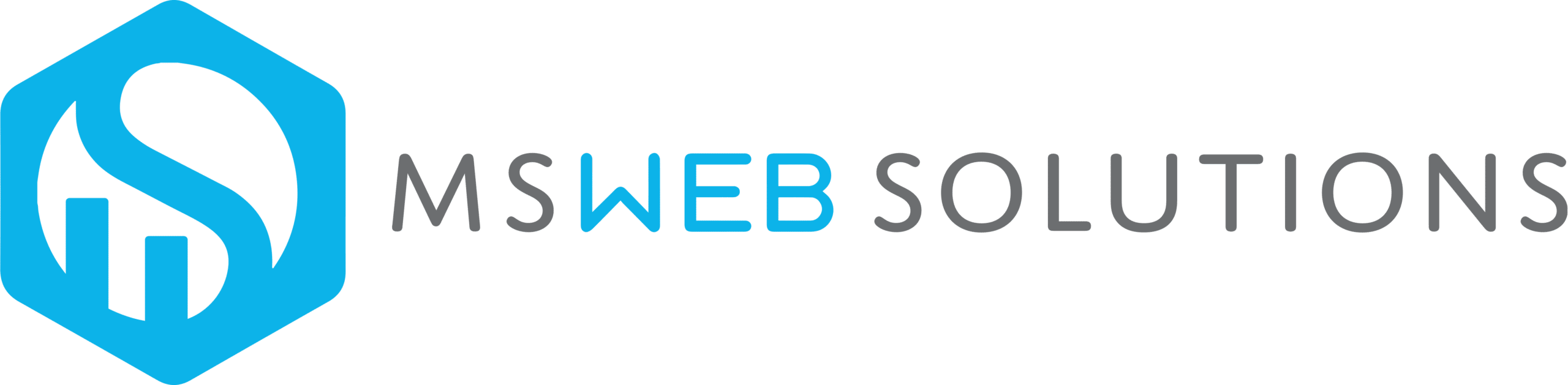 MS Web Solutions